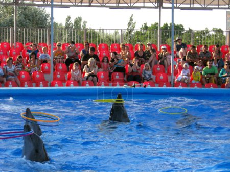 Foto de Espectáculo con delfines en delfinario - Imagen libre de derechos
