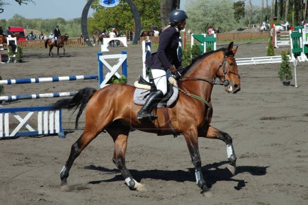 Foto de Joven jinete a caballo saltando obstáculo en su curso en competición - Imagen libre de derechos