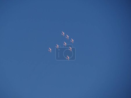 Photo for Patrouille de france, group of airplanes in the sky - Royalty Free Image