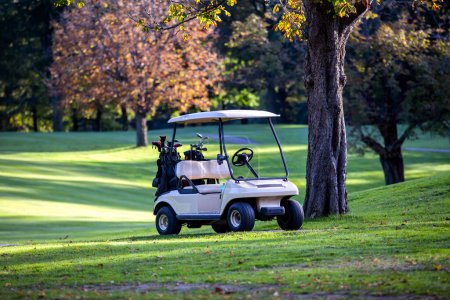 Téléchargez les photos : Chariot de golf sur le terrain à l'automne - en image libre de droit