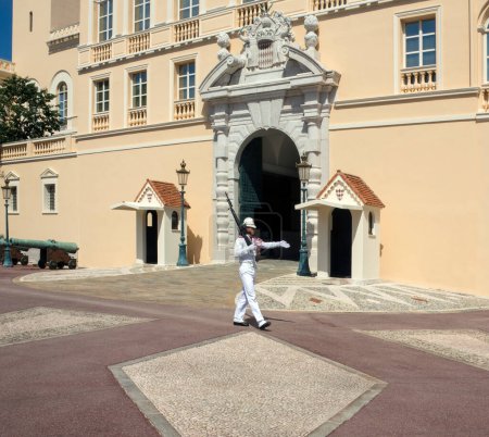 Téléchargez les photos : Vue panoramique du Palais Royal - Monaco - en image libre de droit