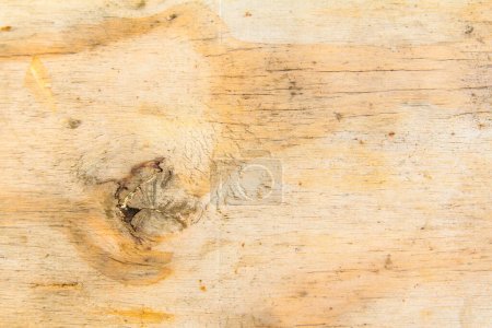 Photo for Old wooden background with natural texture - Royalty Free Image