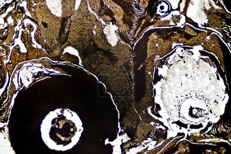 Téléchargez les photos : Gros plan sur les particules de suie microscopiques - en image libre de droit