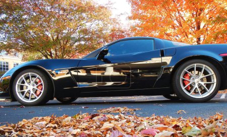 Photo for Black car at autumn park - Royalty Free Image