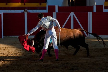 Photo for The Spanish Bullfighter Alberto Lamelas bullfighting with the crutch in the Bullring of Sabiote, Jaen, Spain, 24 august 2011 - Royalty Free Image