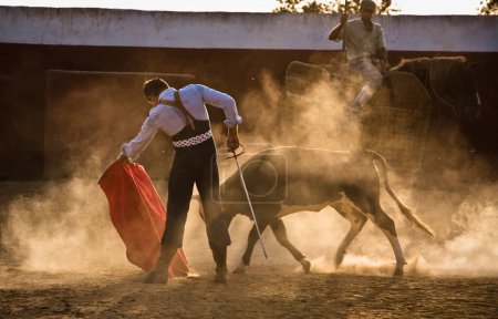 Photo for The Spanish bullfighter David Valiente in the tentadero, Spain - Royalty Free Image