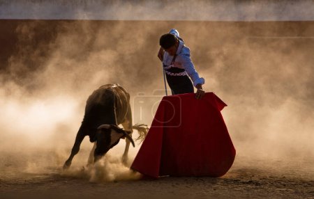 Photo for The Spanish bullfighter David Valiente in a tentadero, Spain - Royalty Free Image