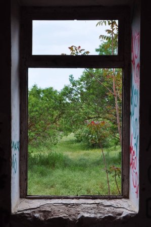 Téléchargez les photos : Cadre de fenêtre paysage abstrait - en image libre de droit