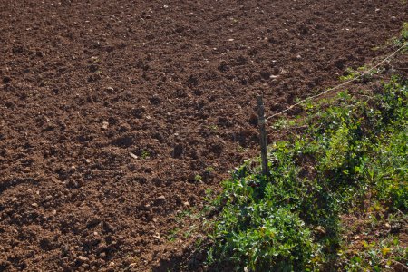 Photo for View of ploughed agricultural field" - Royalty Free Image