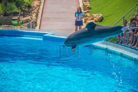 Foto de Delfín volador en el delfinario - Imagen libre de derechos