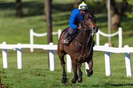 Téléchargez les photos : Jockey équitation cheval galop d'entraînement - en image libre de droit