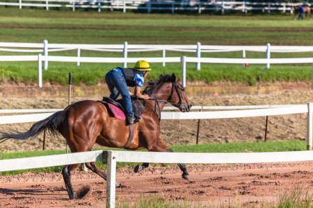 Téléchargez les photos : "Course Horse Jockey Entraînement
" - en image libre de droit