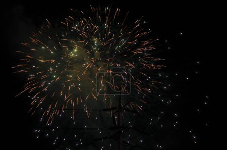 Téléchargez les photos : Beaux feux d'artifice de fête dans le ciel nocturne - en image libre de droit