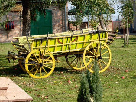 Téléchargez les photos : Chariot paysan sur verdure - en image libre de droit
