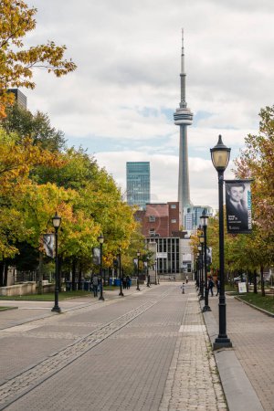 Photo for View of CN tower from University of Toronto - Royalty Free Image