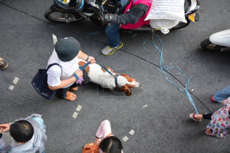 Foto de Perro con manifestante en Bangkok 2014 - Imagen libre de derechos