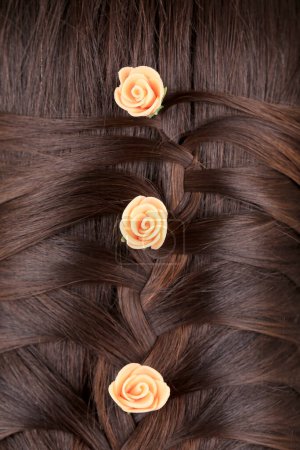 Photo for Long Brown Hair Braid. Back View - Royalty Free Image