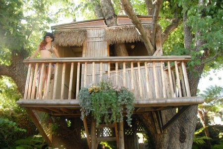 Photo for Phoebe Price posing while standing in wooden house on tree. Malibu, CA. 08-22-09 - Royalty Free Image