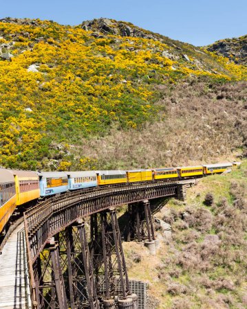 Photo for Taieri Gorge railway crosses bridge New Zealand - Royalty Free Image