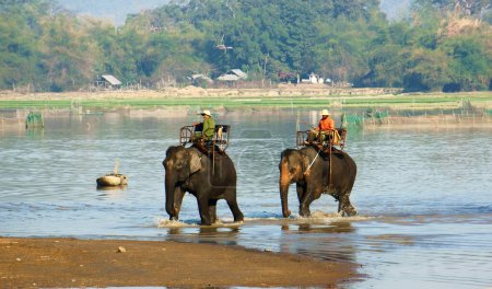 Téléchargez les photos : Mahout équitation éléphant sur la côte de la rivière - en image libre de droit
