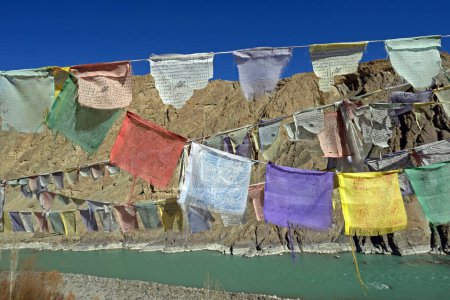 Téléchargez les photos : "Drapeaux de prière tibétains avec des arbres en hiver" - en image libre de droit