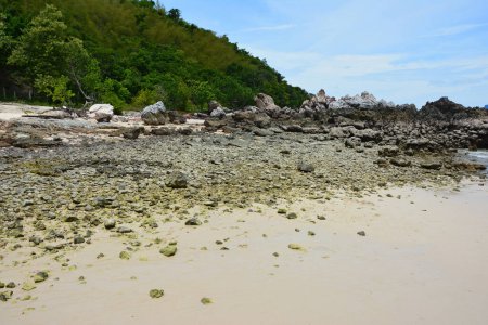 Téléchargez les photos : Paysage marin de la thailande de mélèze de koh en été - en image libre de droit