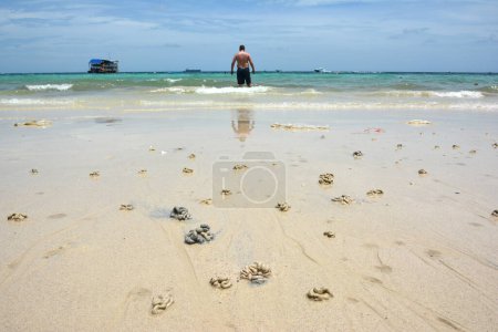 Téléchargez les photos : Crabs Health marks in Koh Larn Beach, Pattaya, Thailand - en image libre de droit