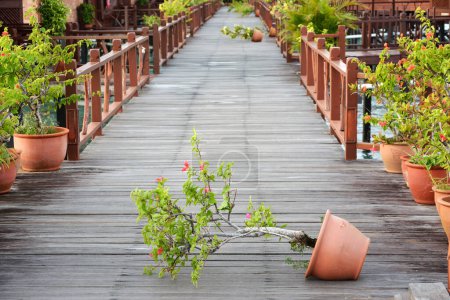 Téléchargez les photos : Pot d'arbre maigre par la tempête sur le pont en bois - en image libre de droit