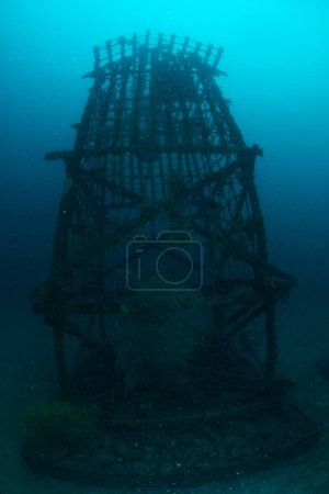 Téléchargez les photos : Artificial reef in Mabul, kapalai, Malaysia - en image libre de droit