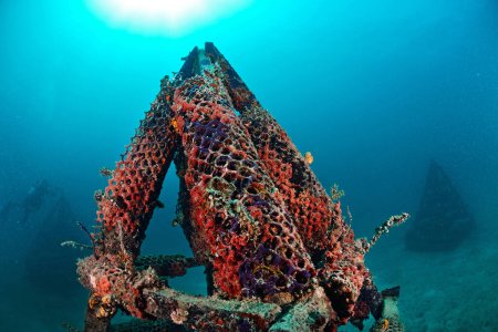 Foto de "arrecife artificial en Mabul, kapalai, Malasia. Increíble concepto de mundo submarino - Imagen libre de derechos