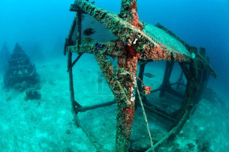 Téléchargez les photos : "récif artificiel à Mabul, kapalai, Malaisie. Incroyable concept de monde sous-marin - en image libre de droit