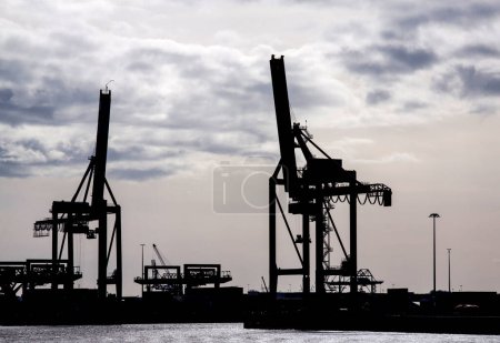 Photo for Sihouette of cranes in harbor - Royalty Free Image