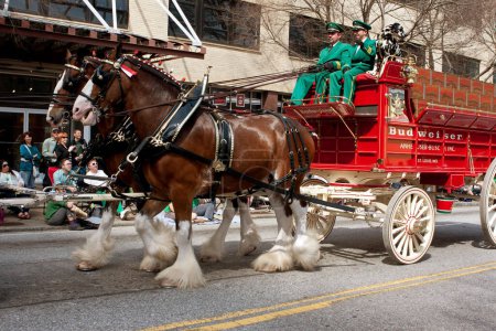 Foto de Budweiser Clydesdales hacen aparición en el desfile de San Patricio - Imagen libre de derechos