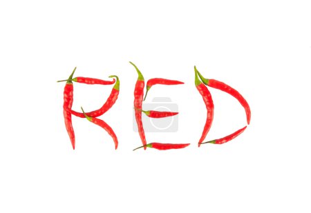 Photo for Vector red hot chili peppers on a white background. hand drawn. - Royalty Free Image