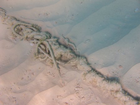 Téléchargez les photos : Chaîne sous-marine dans le sable - en image libre de droit