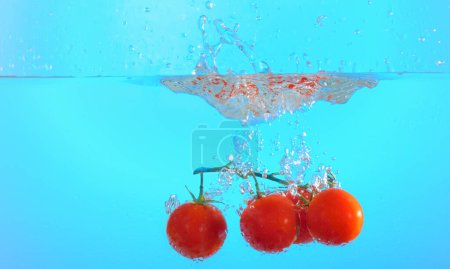 Téléchargez les photos : Tomates jetées dans l'eau - en image libre de droit