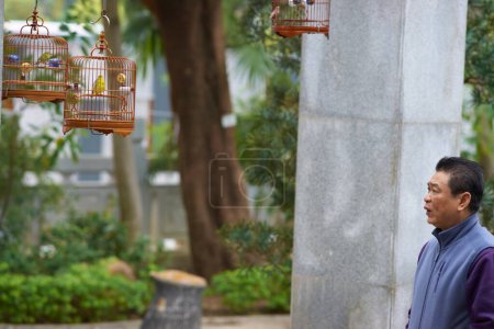 Téléchargez les photos : Petits oiseaux en cage - en image libre de droit