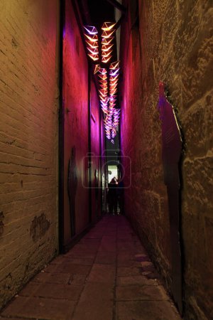 Téléchargez les photos : Installation lumineuse Clapiconia pour le festival Vivid - en image libre de droit