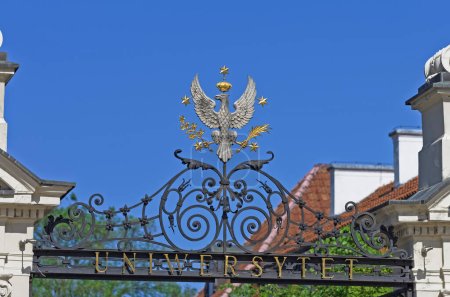 Téléchargez les photos : Aigle couronné sur une clôture métallique contre le ciel bleu - en image libre de droit