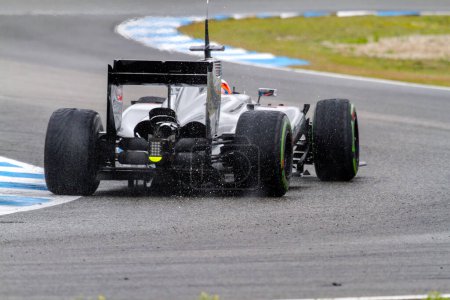 Foto de Equipo McLaren F1, Kevin Magnussen, 2014 - Imagen libre de derechos