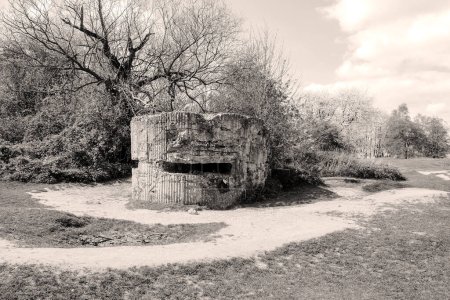 Foto de Bunker pillbox primera trinchera de guerra wotld de la muerte - Imagen libre de derechos