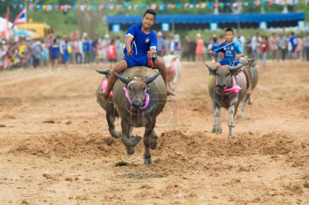 Photo for Water buffalo racing in Pattaya, Thailand - Royalty Free Image
