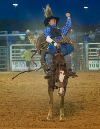 Foto de Feria y Rodeo del Condado de Clark - Imagen libre de derechos