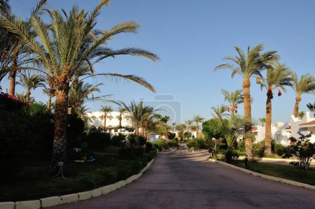 Foto de Hotel. Sharm-El-Sheikh. Sinaí del Sur.30 junio 2014 - Imagen libre de derechos