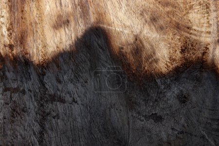 Photo for Surface of charcoal. burnt wooden surface - Royalty Free Image