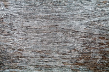 Photo for The old wood background - Royalty Free Image
