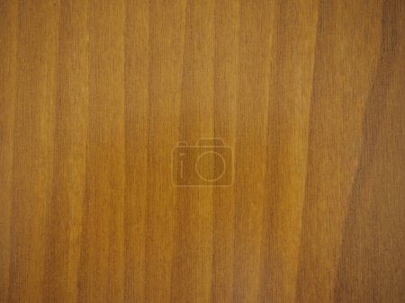 Photo for Wood background texture, simple textured backdrop - Royalty Free Image