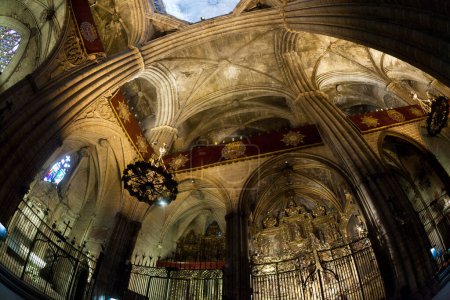Téléchargez les photos : Cathédrale Sainte-Croix-et-Sainte-Eulalia - Barcelone - Espagne - en image libre de droit