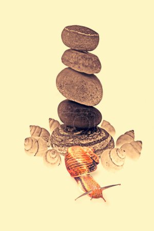 Téléchargez les photos : Escargot près de la pile de pierres de galets - en image libre de droit