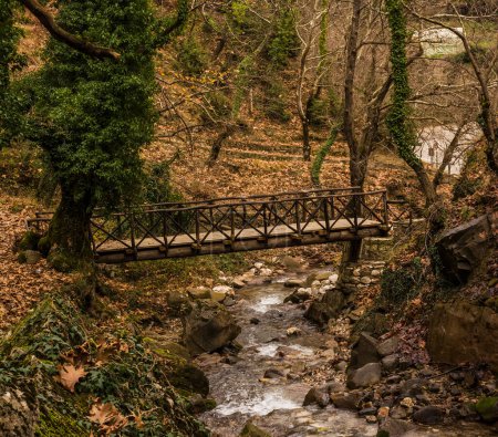 Téléchargez les photos : Petit pont en bois sur un ruisseau en forêt en hiver - en image libre de droit
